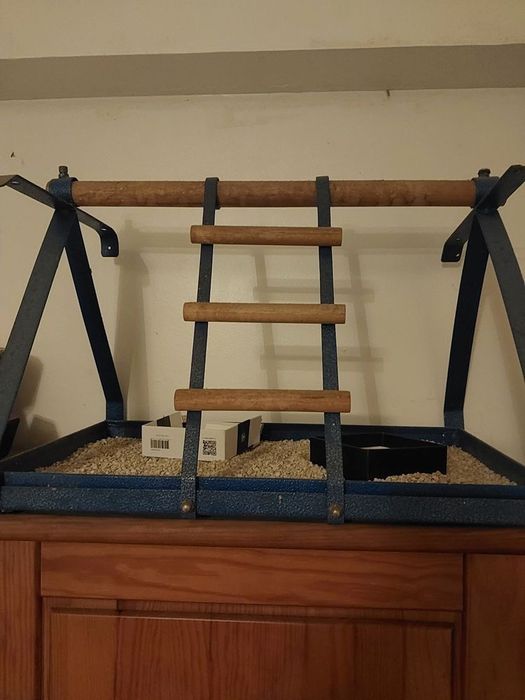 Poleiro para papagaio