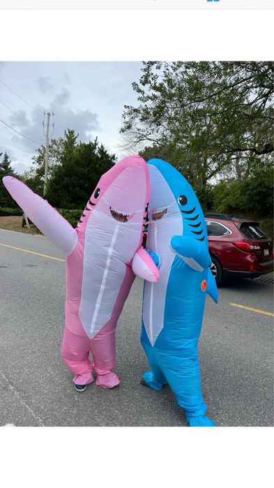 Надувний костюм, оренда, прокат криса, жаба, акула, корова, динозавр