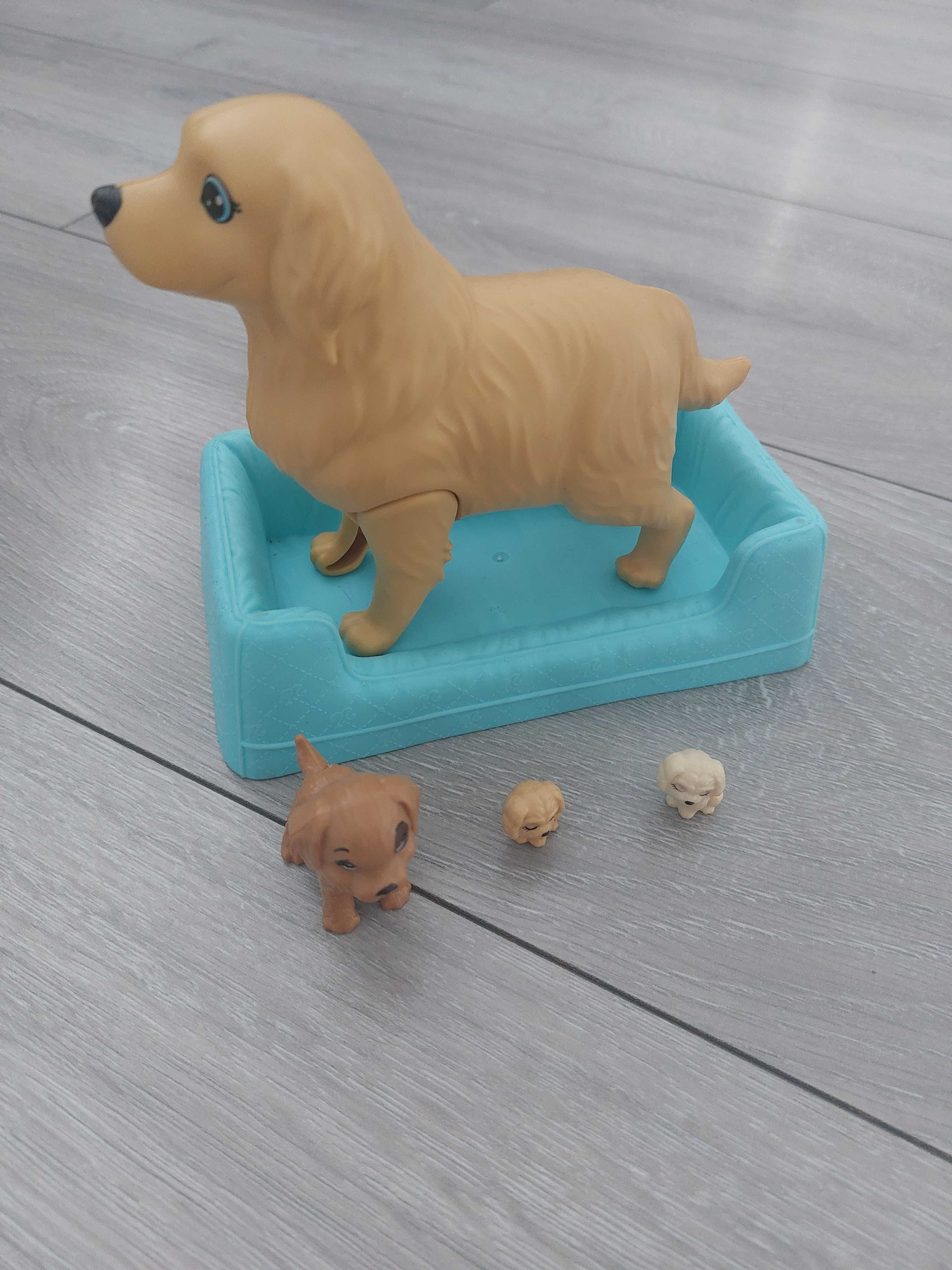 Zabawka rodzący pies kanapa szczeniaki