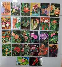 Продам наборы открыток Растения