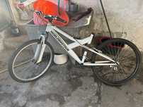 Bicicleta adulto