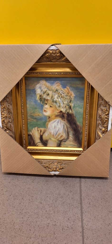 Quadros RENOIR colecção
