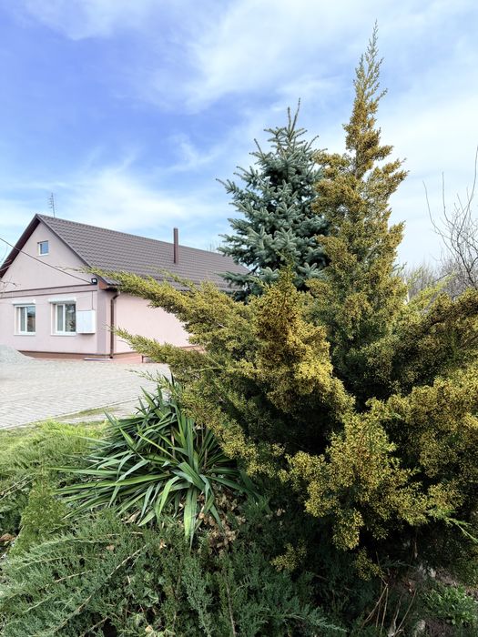 Оренда будинка подобово, будинок київська обл, аренда дома посуточно