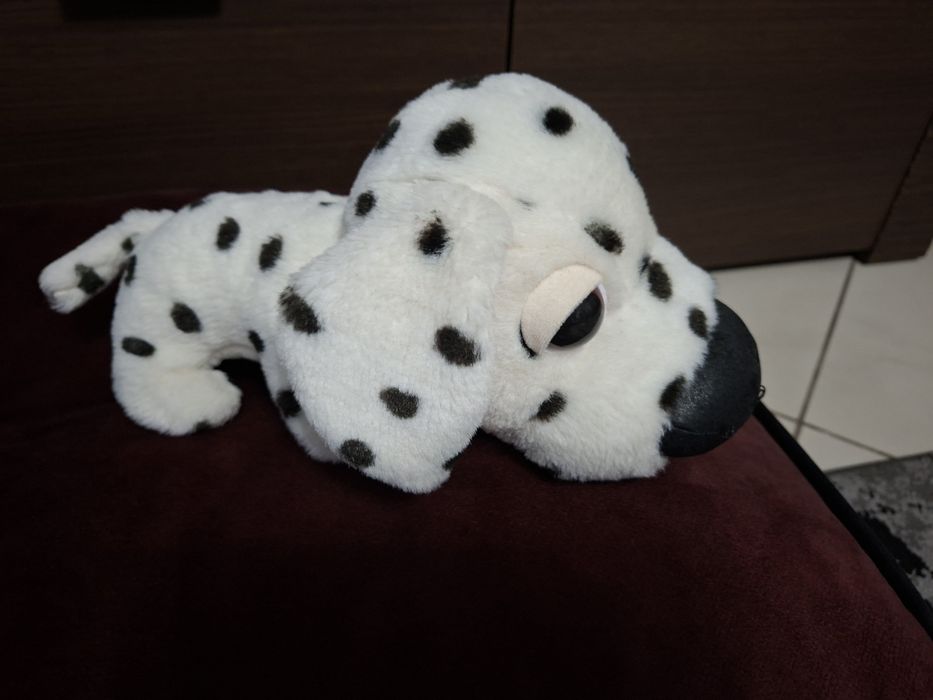 Pies kolekcjonerski Carrefour dalmatyńczyk