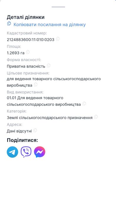 Земля біля асфальтованої дороги