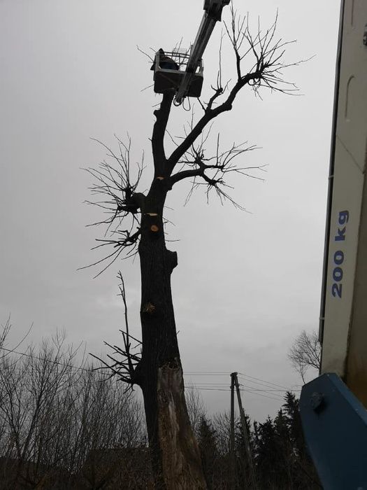 Podnośnik koszowy zwyżka wynajem prace wysokościowe  Rębak do gałęzi