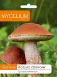Koźlarz Czerwony - Grzybnia grzybów leśnych