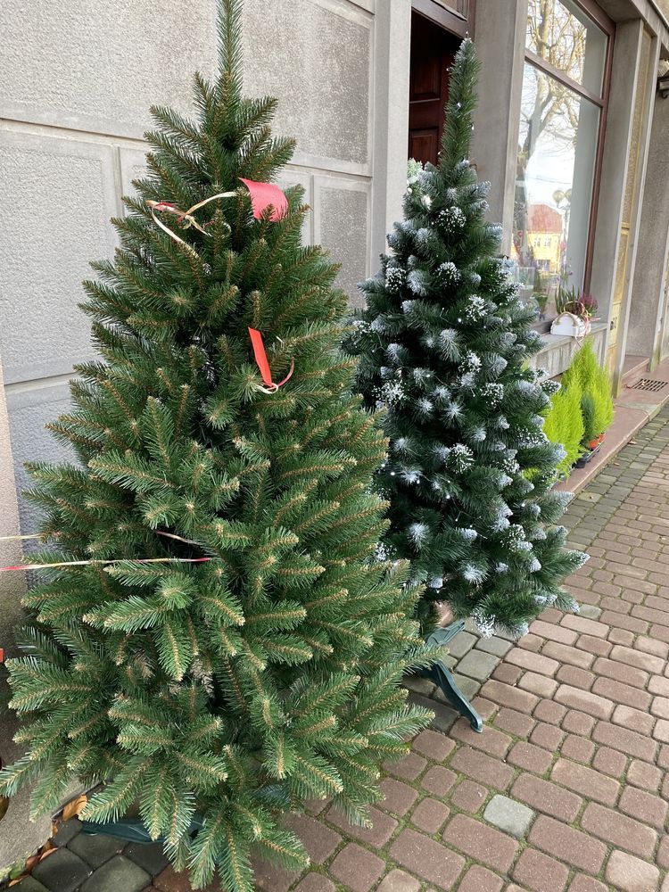 Choinka Diamentowa ośnieżona nowa gęsta piękna