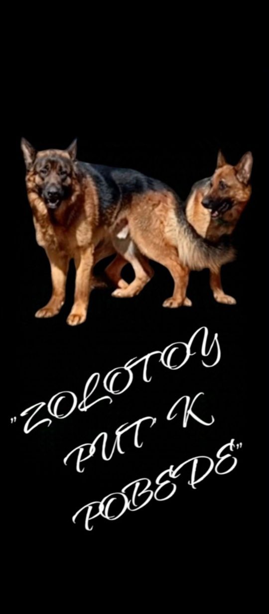 Девочки от ярких и крупных родителей.