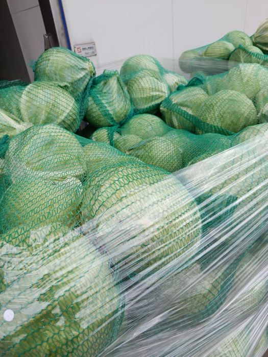 Kapusta biała i czerwona- stała współpraca