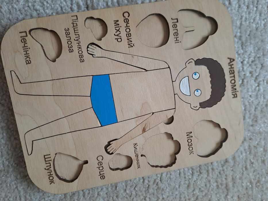 Дерев'яний пазл Анатомія людини