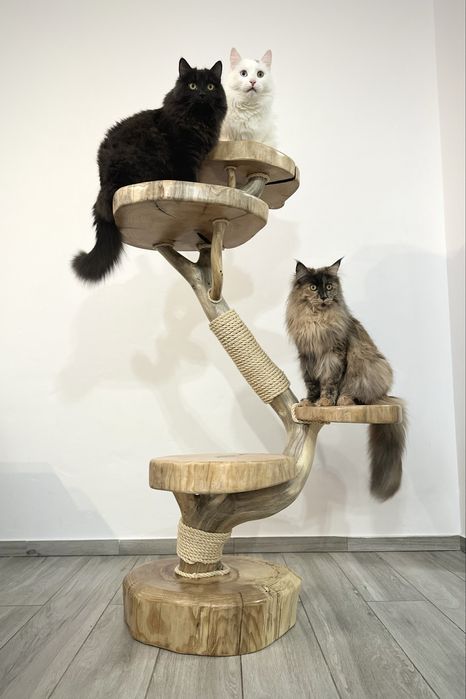 Naturalny Drapak Dla Kota Z Drewna Lina Sizalowa Hamak Kocie Drzewko