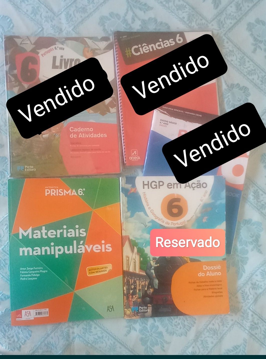 Cadernos de atividades 6° Ano