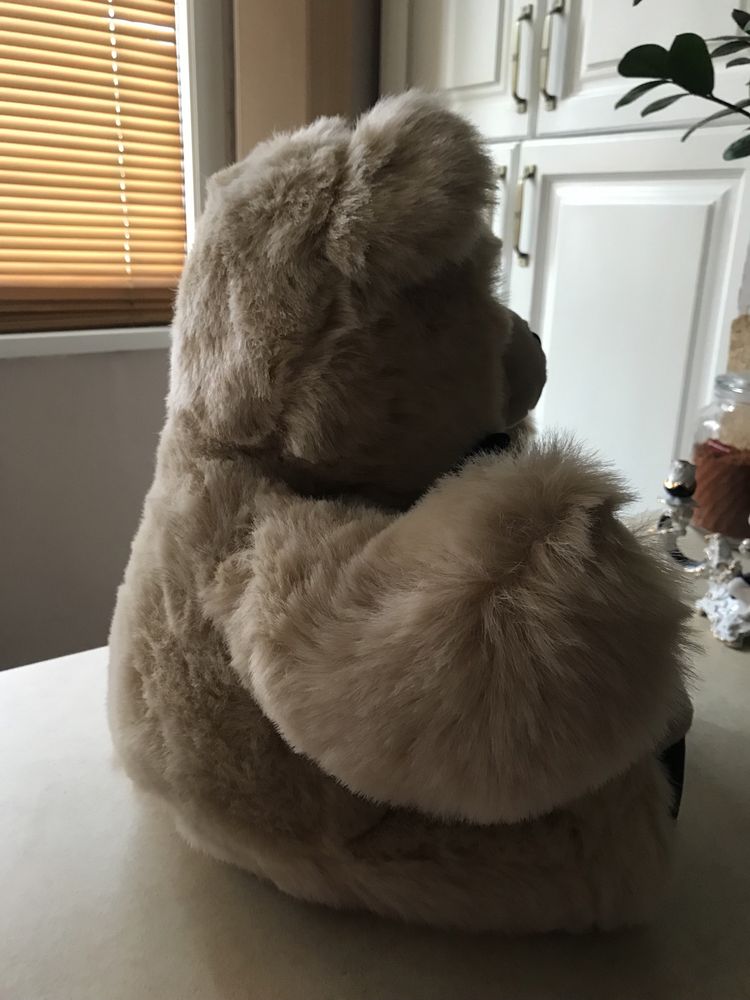 Ведмідь великий
