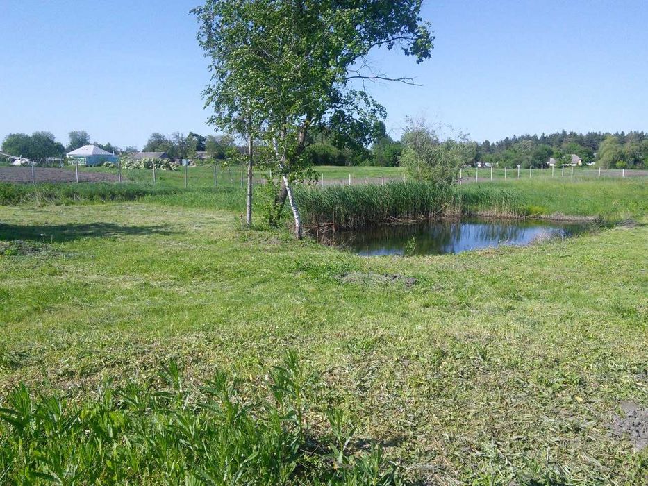 Будинок з дiлянкою 1 га в селі Тубільці, 35 км вiд Черкас