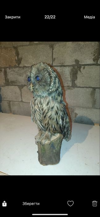 Сувенір натуральний