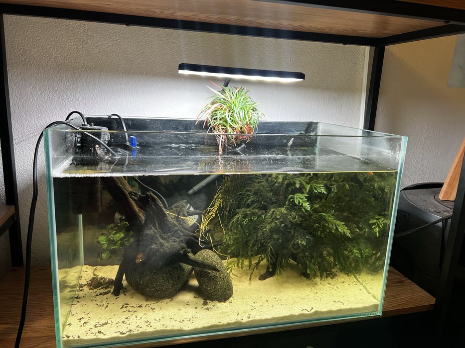 Aquario com led filtro e termostato