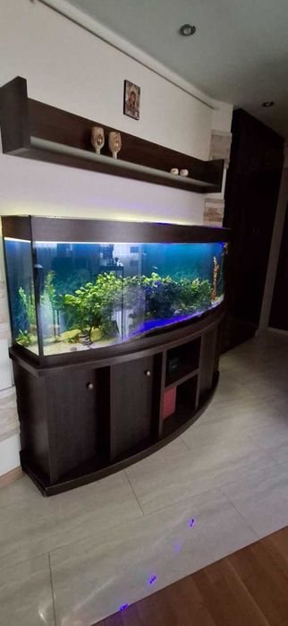 Акваріум панорамний 500 л з тумбою