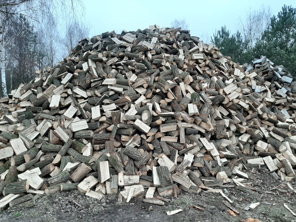 Drewno kominkowe i opałowe suche i na bieżąco Radzyń Podlaski