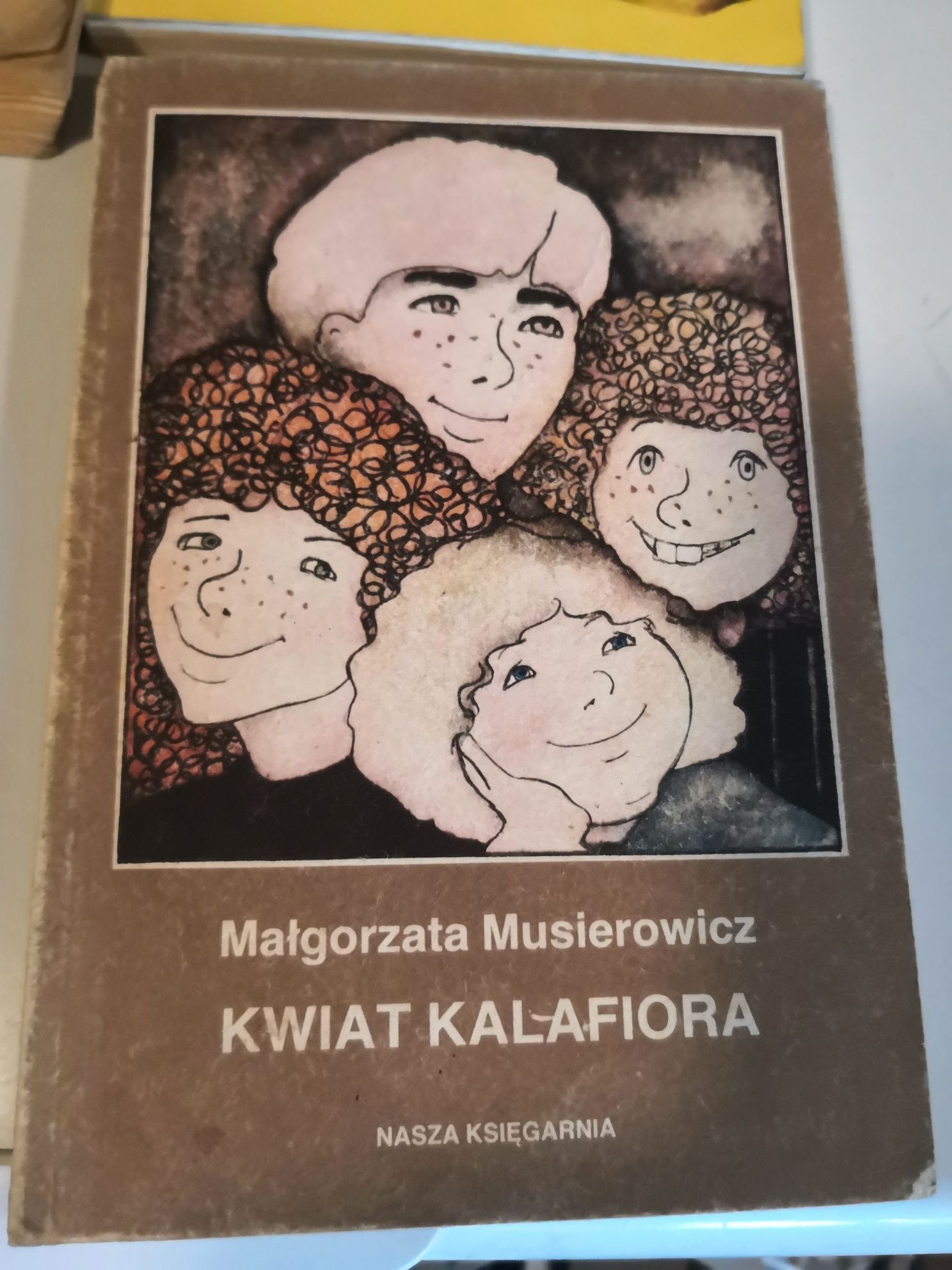 Jeżycjada, M. Musierowicz, Kwiat Kalafiora, Szósta Klepka, Sprężyna