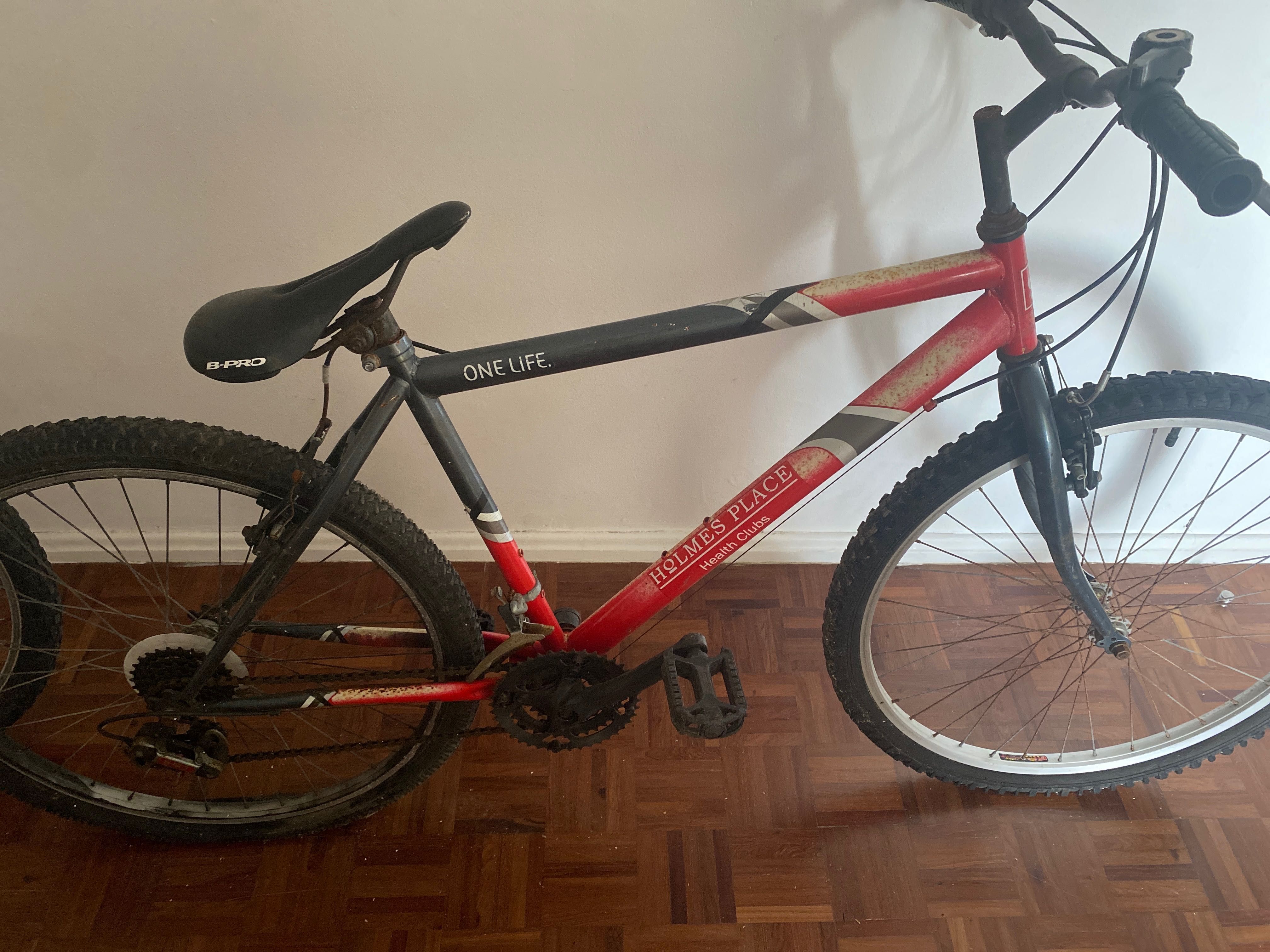 Bicicleta com banco b-pro