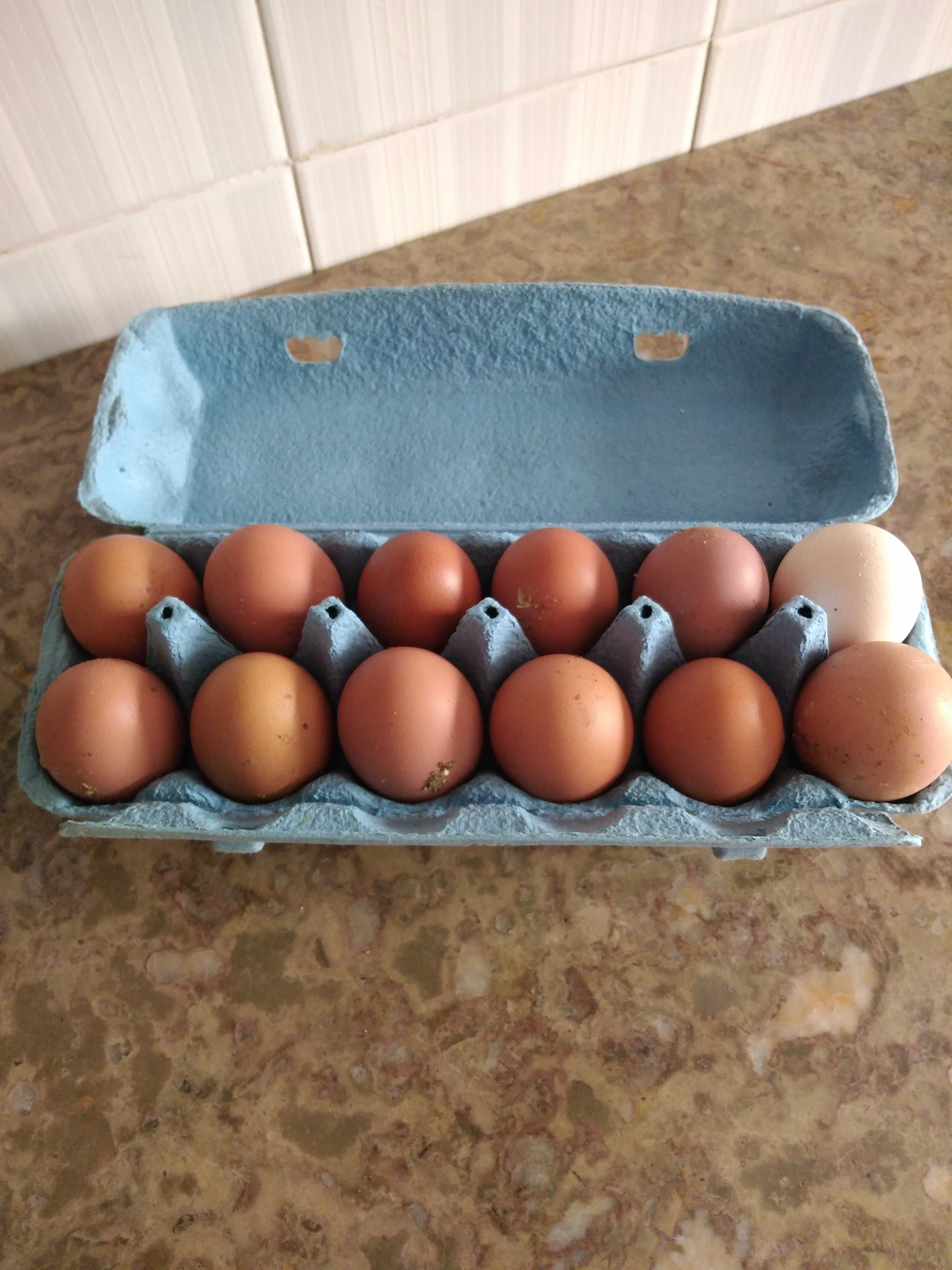 Tenho ovos caseiros