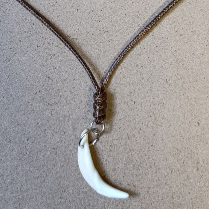 wisiorek z zebem lisa