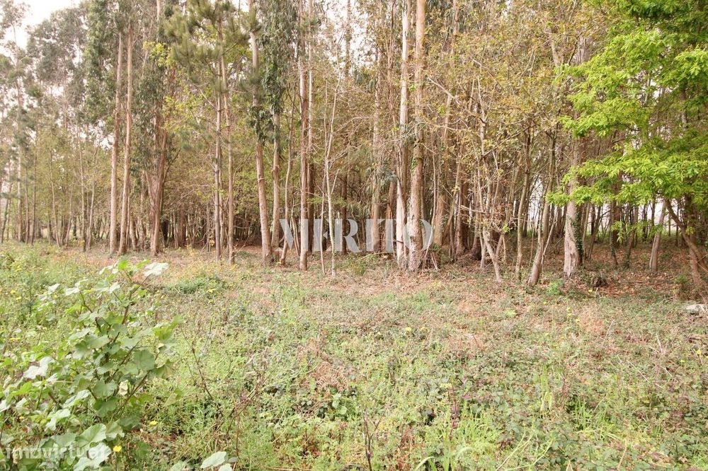 Terreno Misto com área de 21.000m2- Aveleda - Vila do Conde