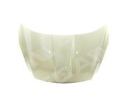 Капот AS07311884 на Ford Kuga 2012-2016