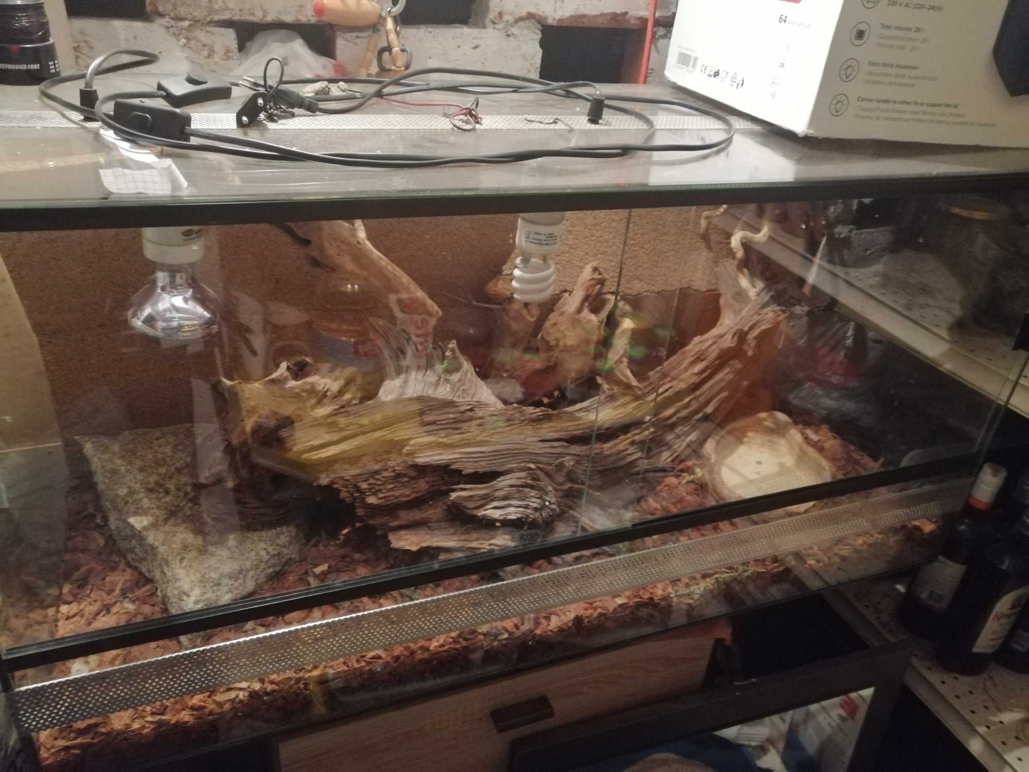 Terrarium na sprzedaż.