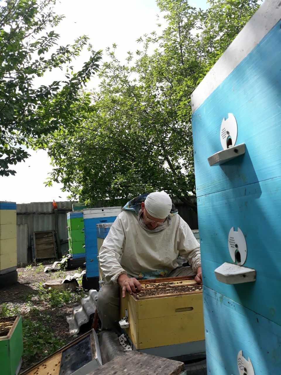 Бджолопакети , бджолосімї