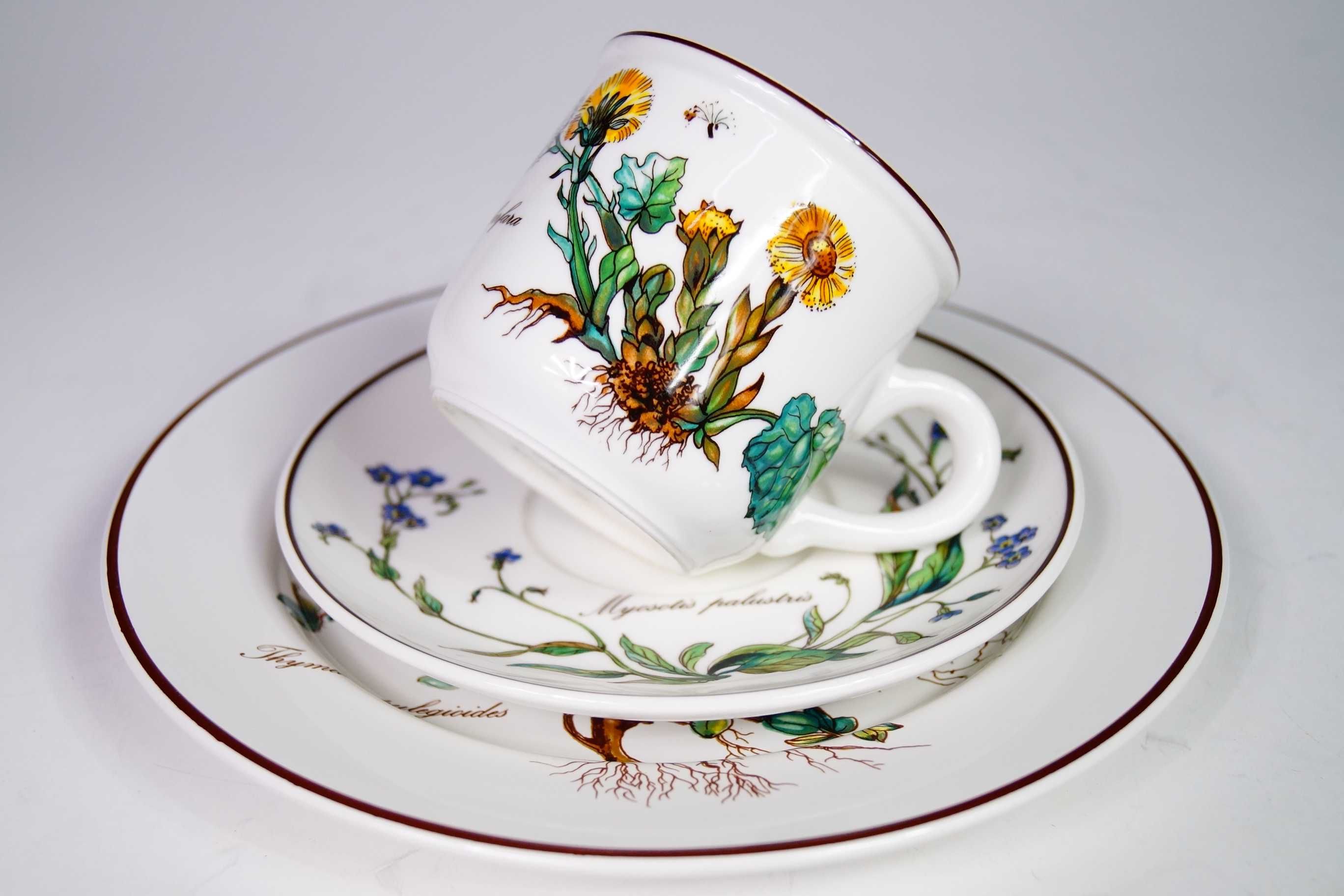 Filiżanka do kawy trio Villeroy Boch Botanica
