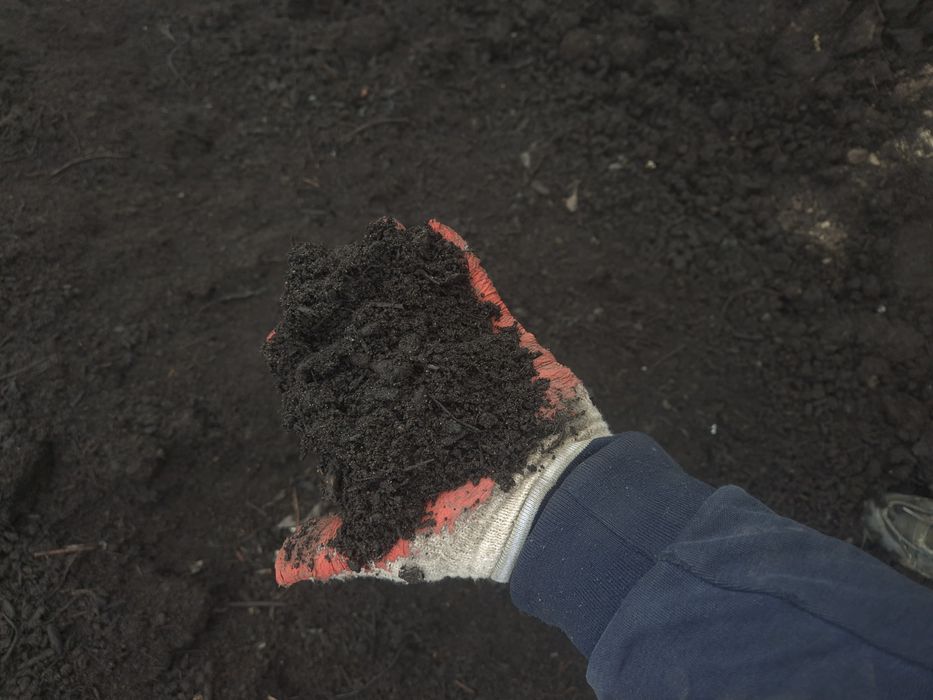 Pruchniaczek kompost