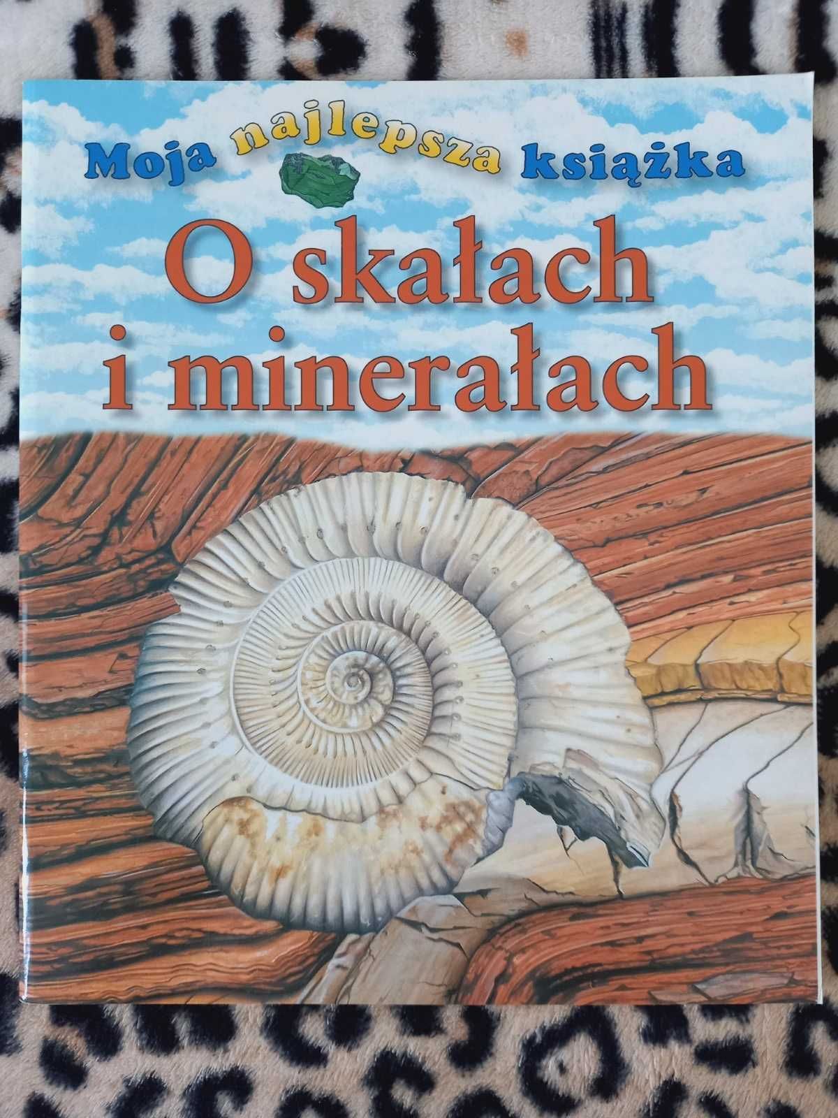 O skałach i minerałach (seria dla dzieci Moja najlepsza książka)