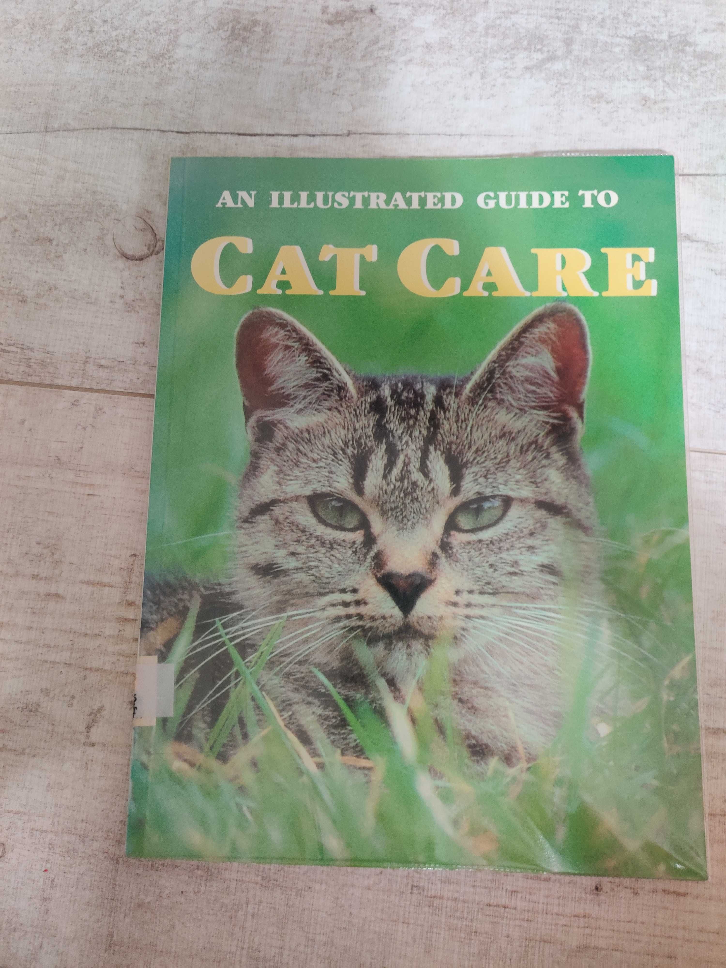 An Illustrated Guide to Cat Care wiedza o kotach książka po angielsku