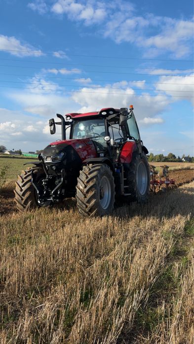 siew zboz orka rozrzucanie obornika odwoz kiszonek z pod sieczkarni