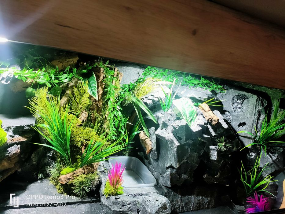Terrarium 120x60x60 dla węża, jaszczurki,,agamy,gekona