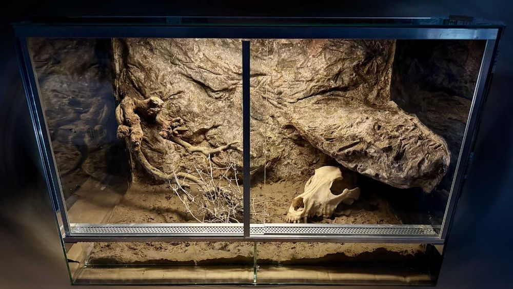 Terrarium dla agamy gekona węża Terraria paludaria wiwaria