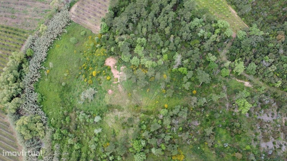 Terreno  para venda
