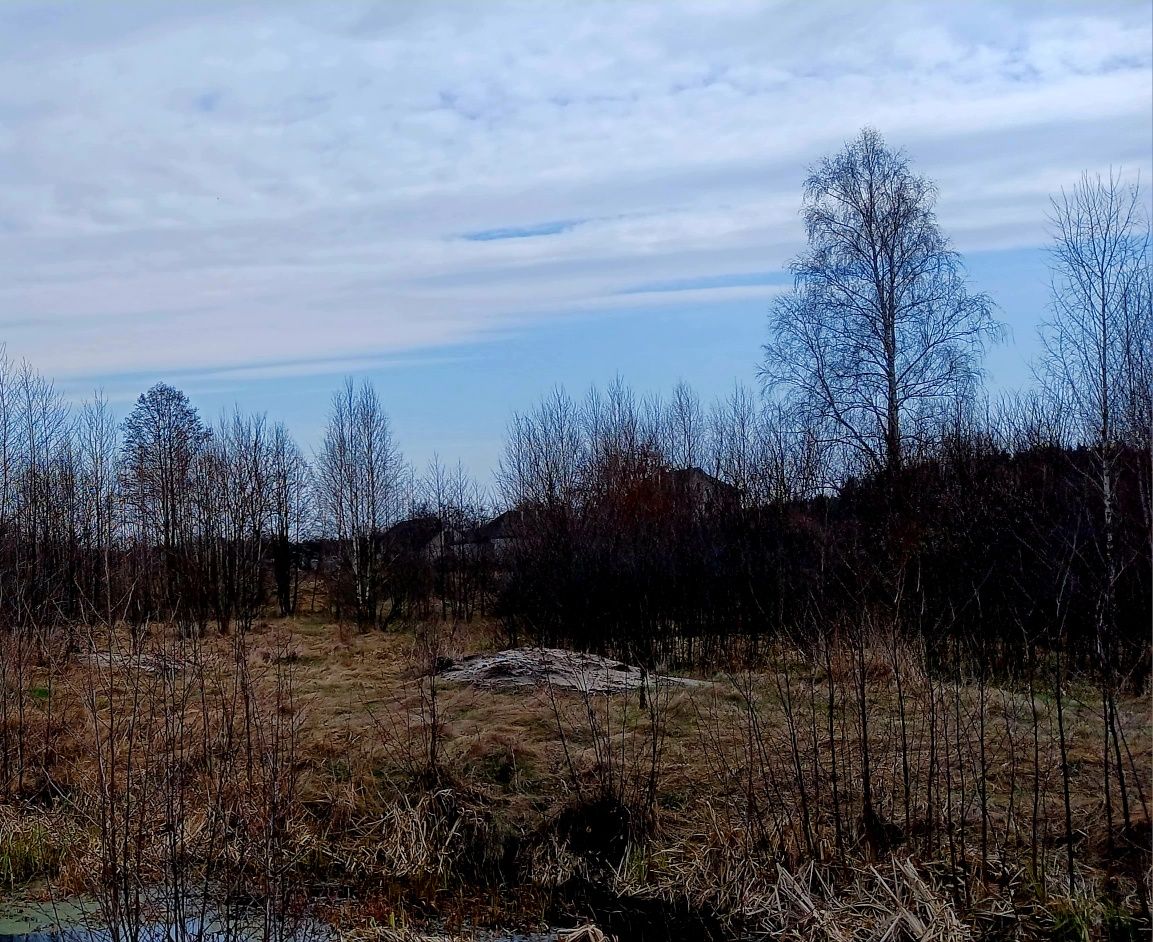 Продаєтся ділянка під лісом, біля води у с.Свiдiвок