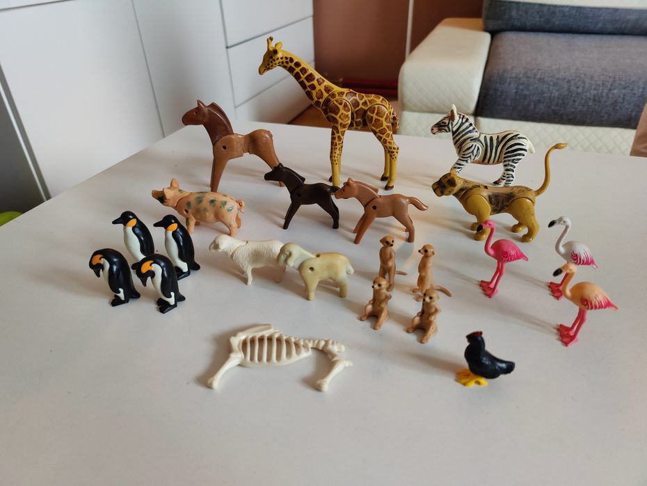 Playmobil zwierzęta - pingwiny, flamingi, surykatki