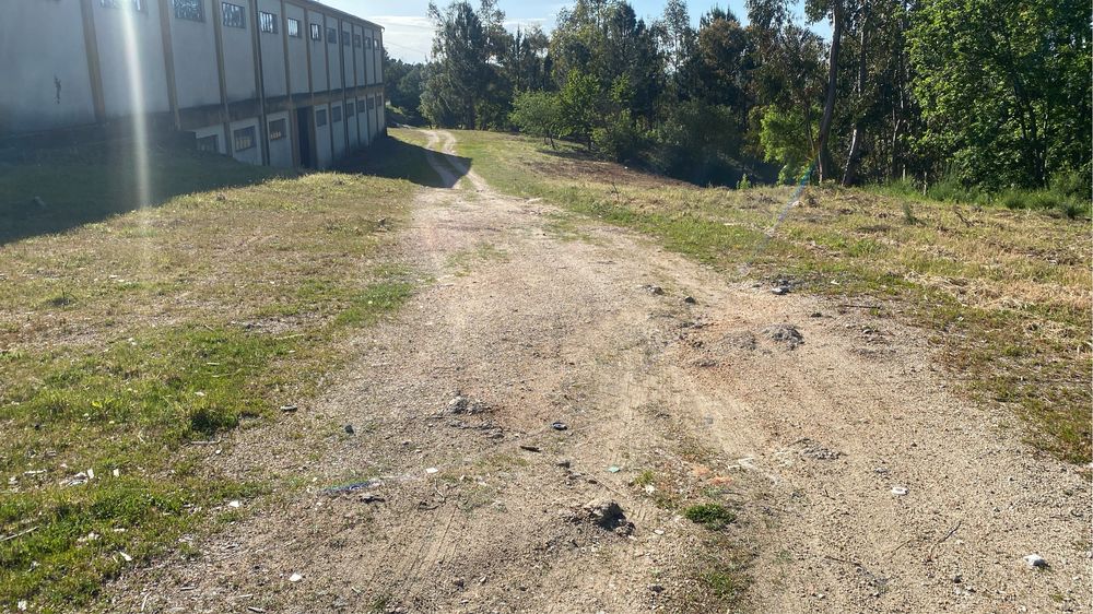 Limpezas de terrenos