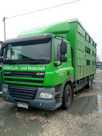 DAF 85.410 do przewozu zwierząt