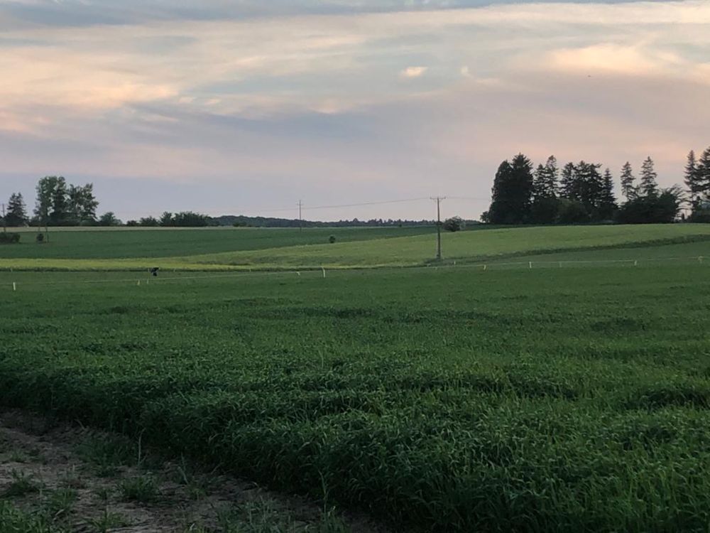 Dzialka Tawęcino - budowlana Łebień piękna okolica przy morzu!