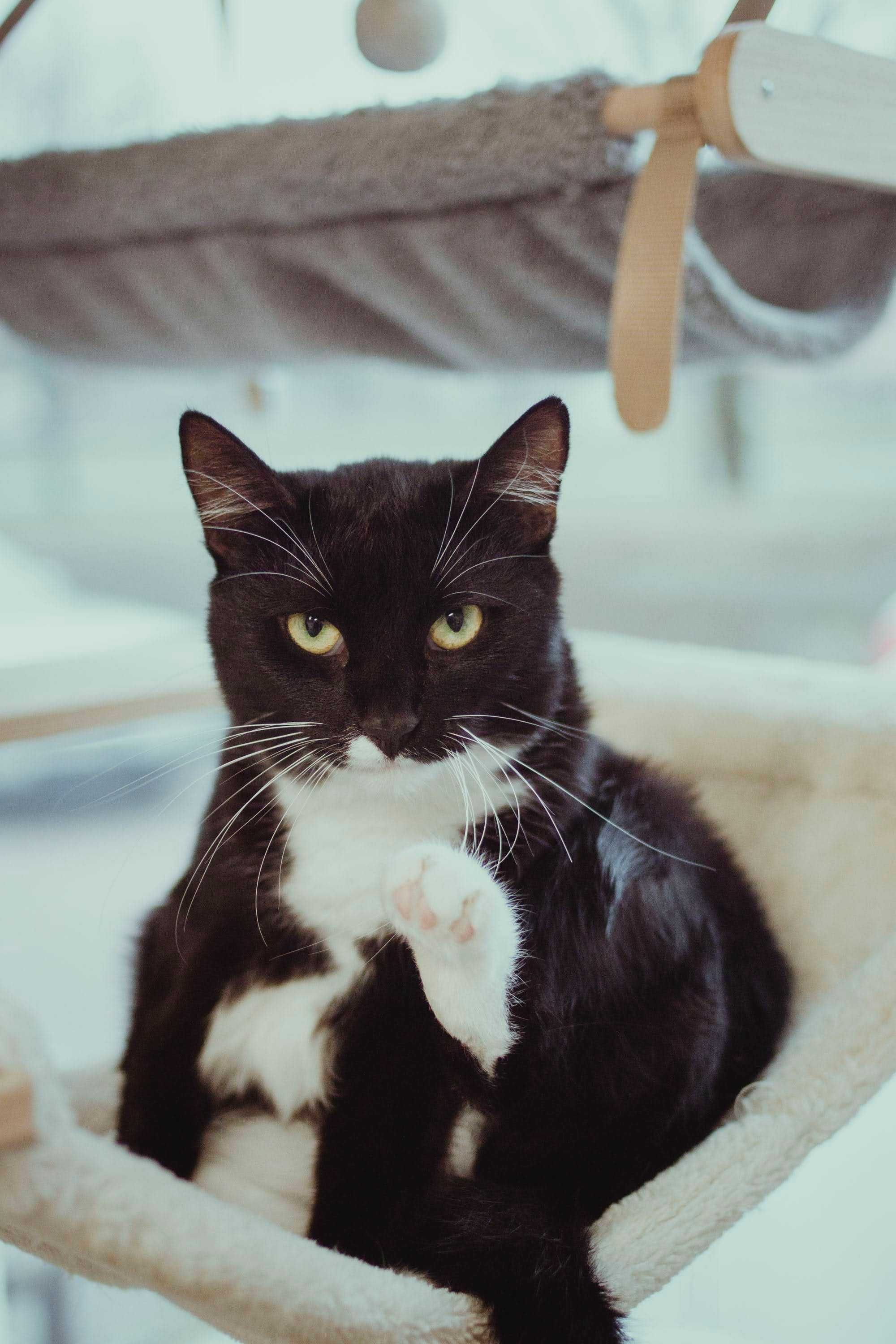 Demi zwrócona z adopcji i zapomniana