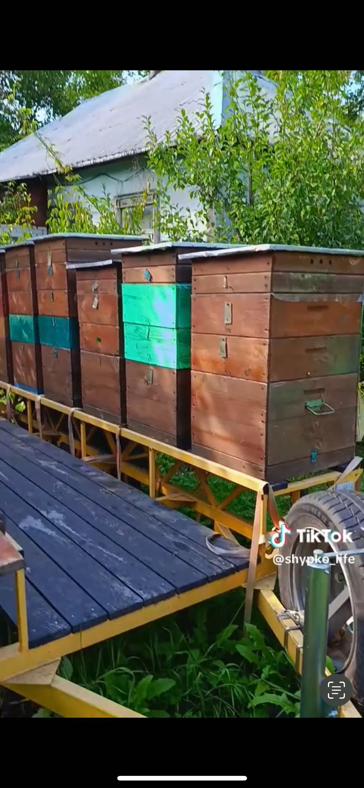 Продам Пасіку з платформою Бджоловіз