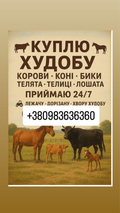 Врх кони корови телята