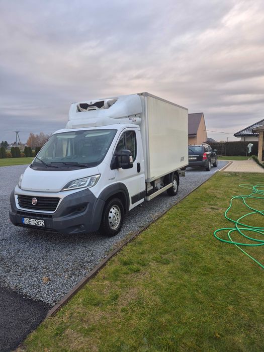Fiat Ducato 2.3 Chłodnia