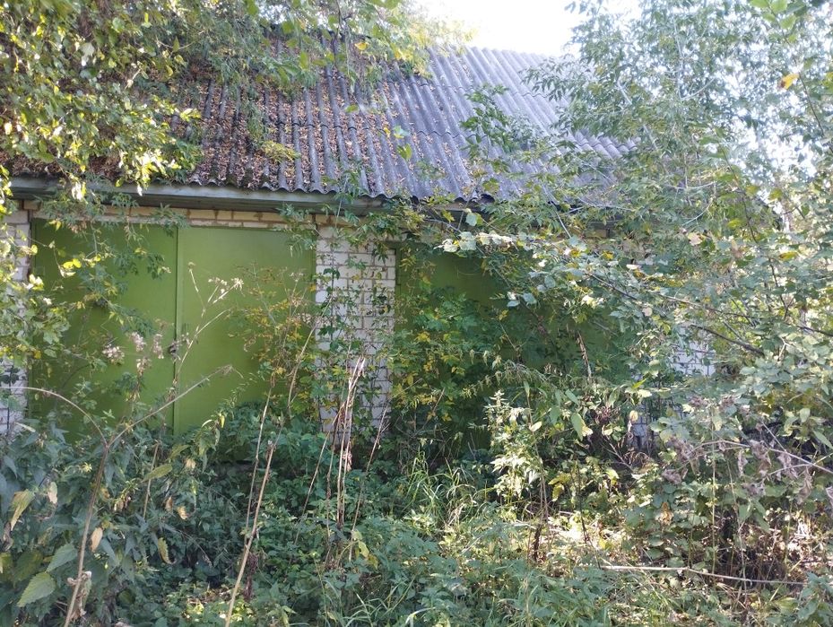 Допомога будинок