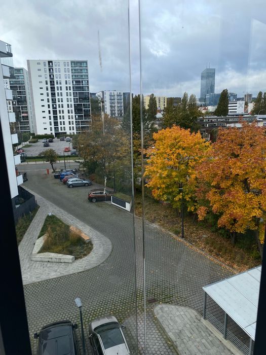 Sprzątanie mieszkań i domów